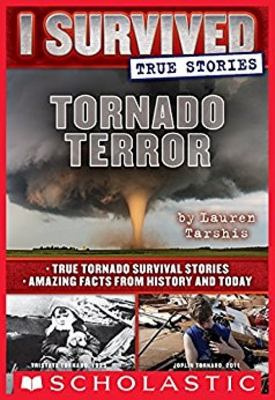Tornado terror : I survived : true stories ; #03