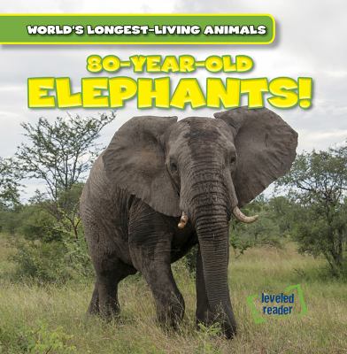 80-year-old elephants