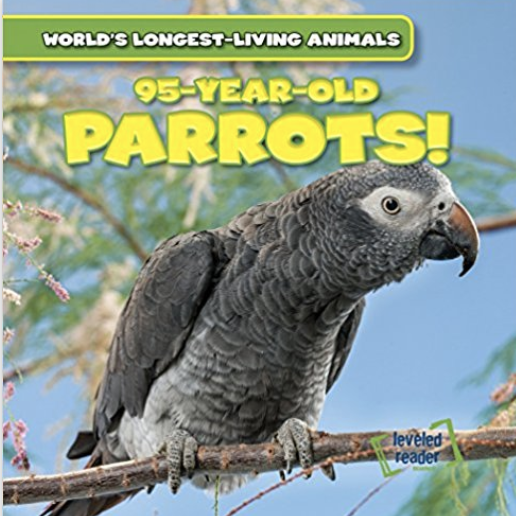95-year-old parrots