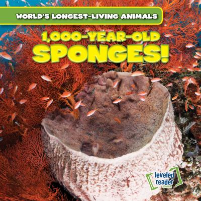 1,000-year-old sponges!