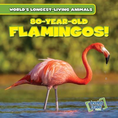 80-year-old flamingos!
