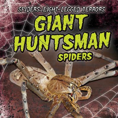 Giant huntsman spiders